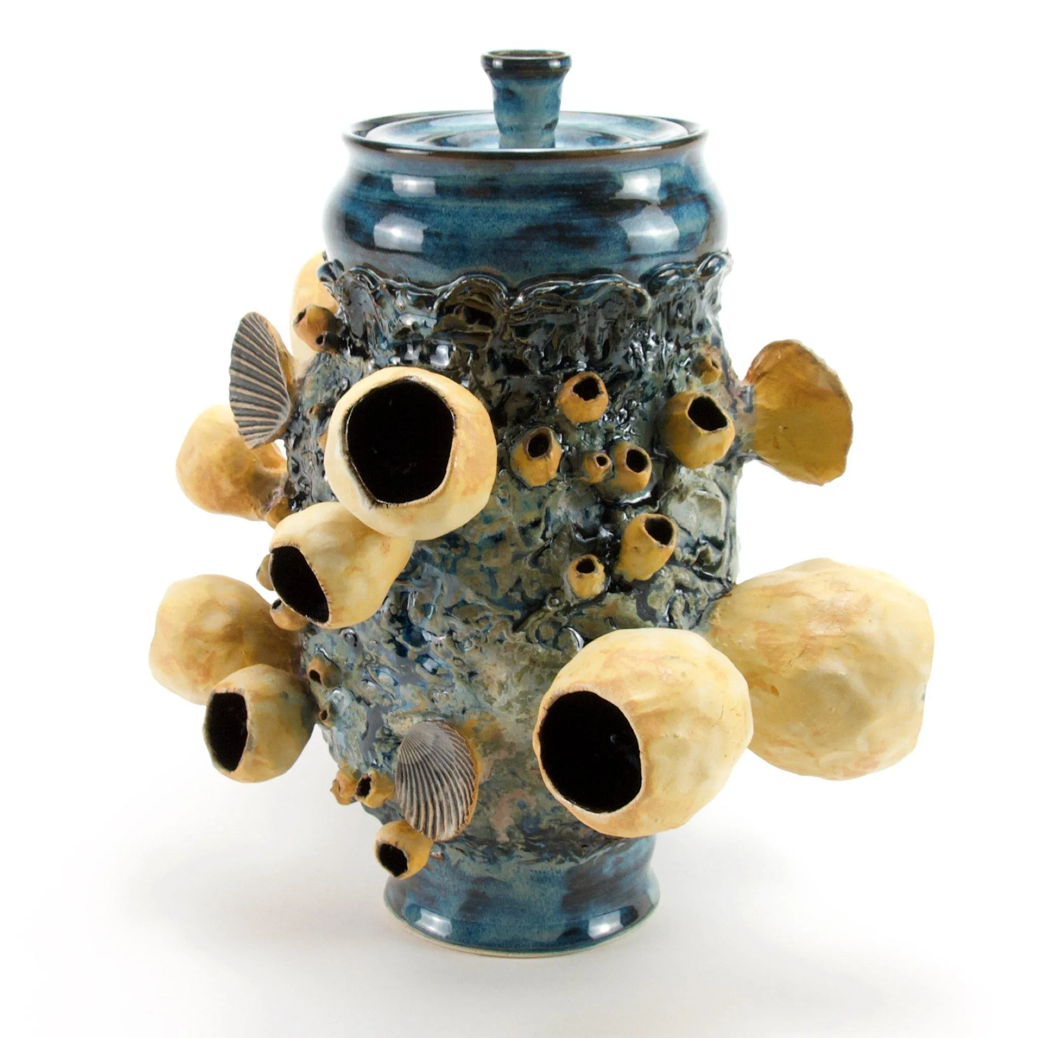 Barnacle Jar with Lid - Low Tide