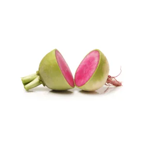 Radish Watermelon / Radis Melon d'Eau | Tourne-Sol Organic Seeds