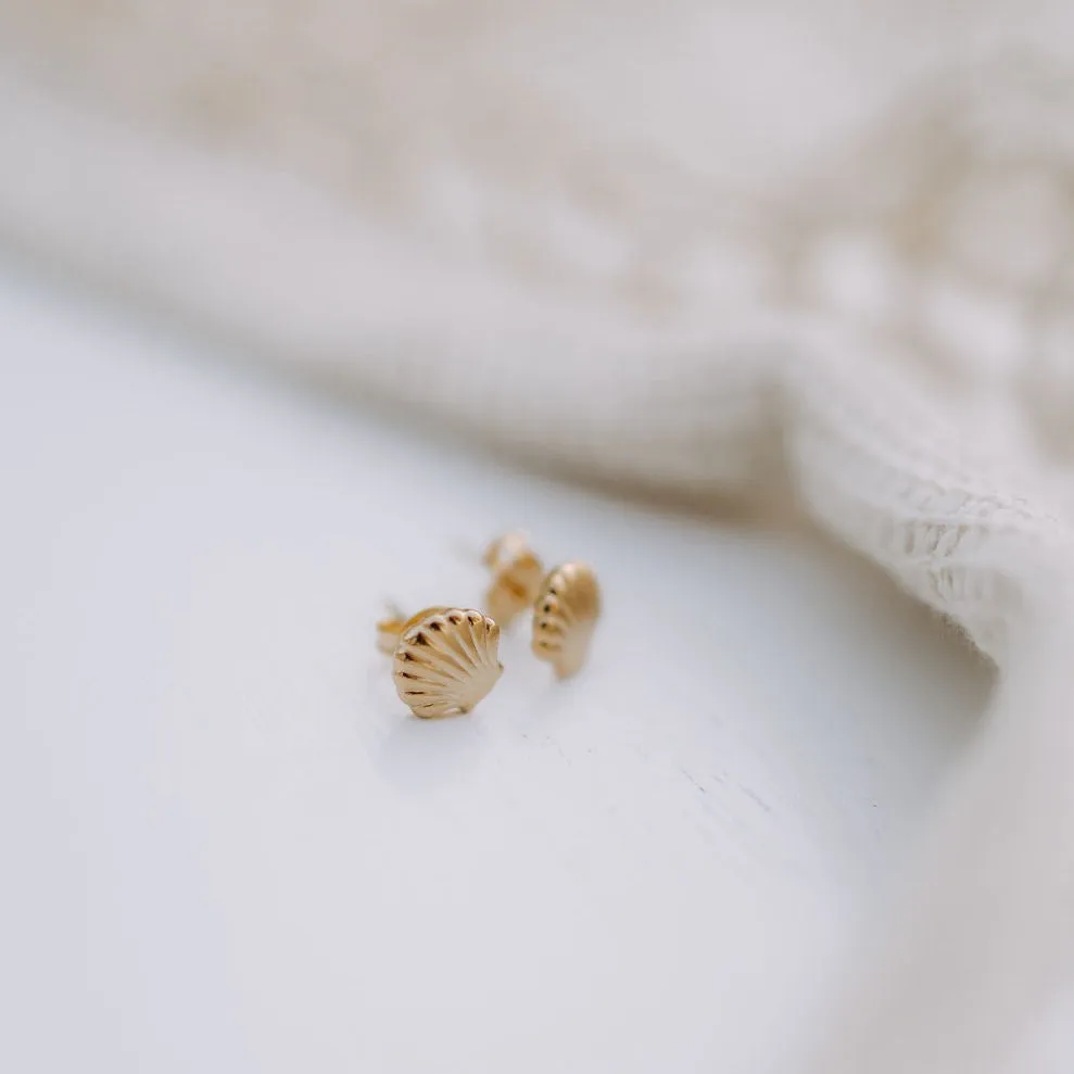 Sea Shell Studs